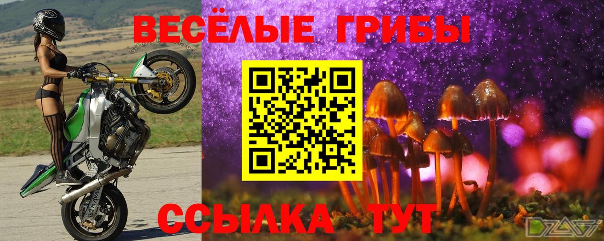 Галлюциногенные грибы прущие грибы Екатеринбург