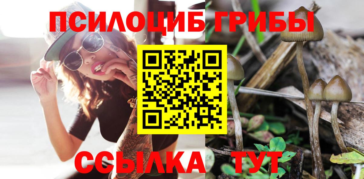 Екатеринбург  Псилоцибиновые грибы прущие грибы  Вход с VPN 